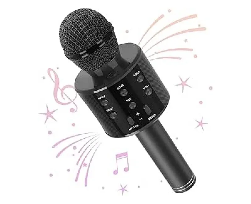 مايك لاسلكي بلوتوث و مكبر صوت (أسود)