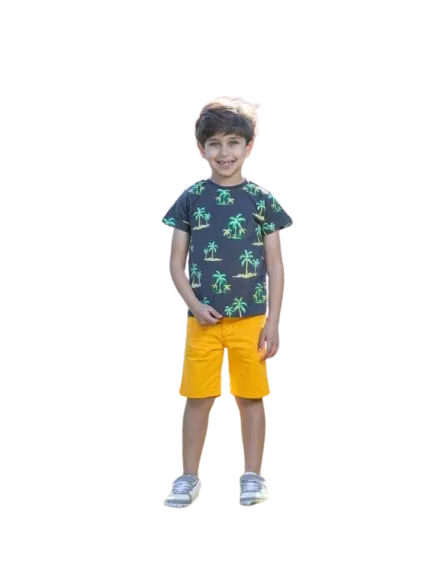 طقم ولادي مكون من قطعتين شورت وتي شيرت *33